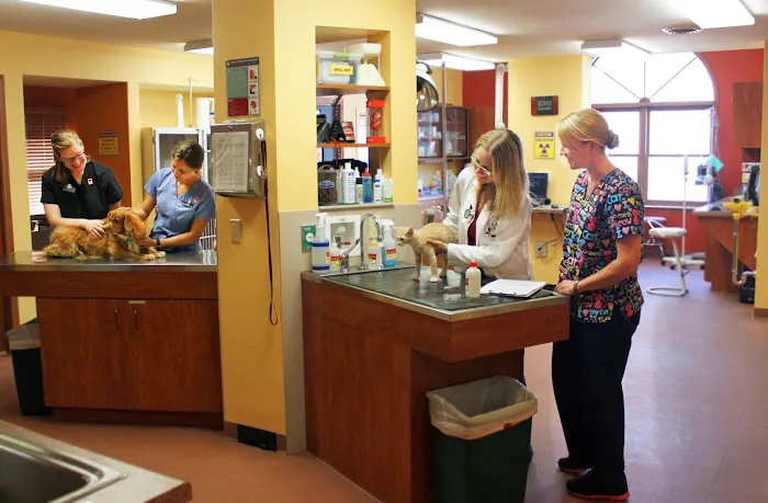 Odyssey Veterinary Care 12