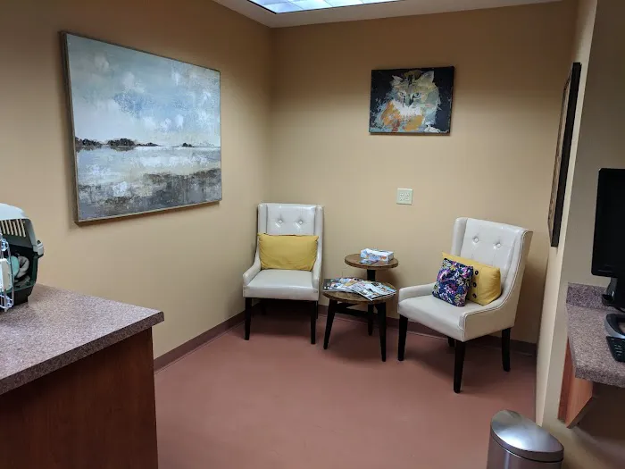Odyssey Veterinary Care 12