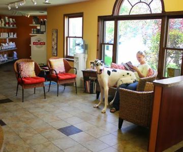 Odyssey Veterinary Care