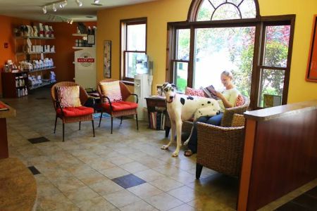 Odyssey Veterinary Care