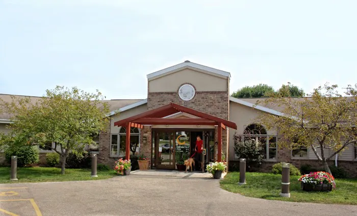 Odyssey Veterinary Care 12