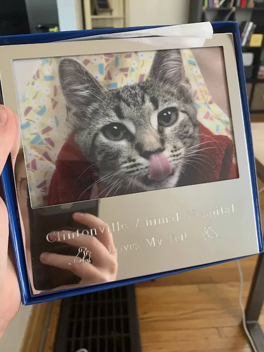 Clintonville Animal Hospital 3