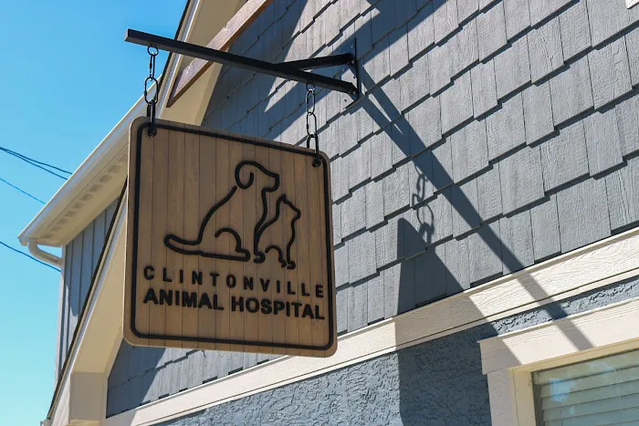 Clintonville Animal Hospital 7