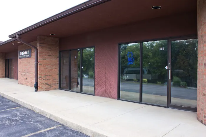 Cats Only Veterinary Clinic 5