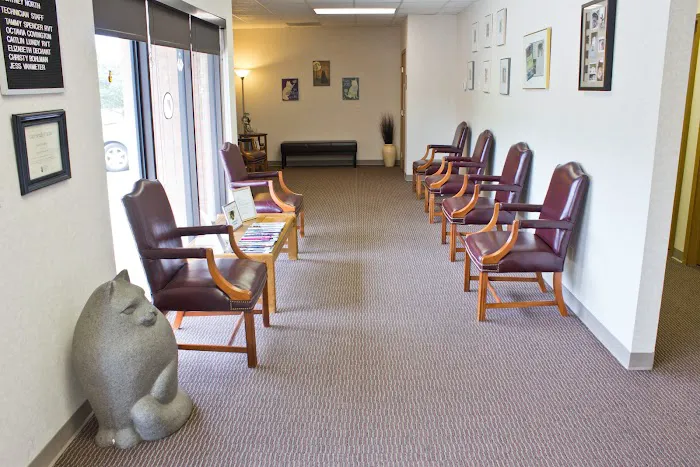 Cats Only Veterinary Clinic 6
