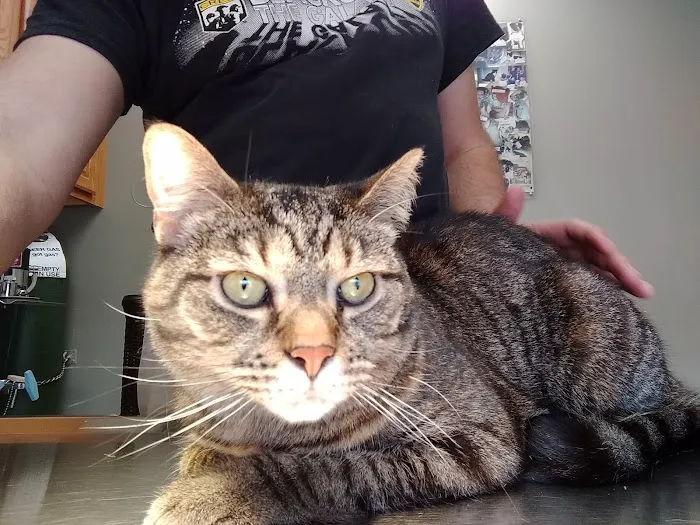 Chittenden Veterinary Clinic 10