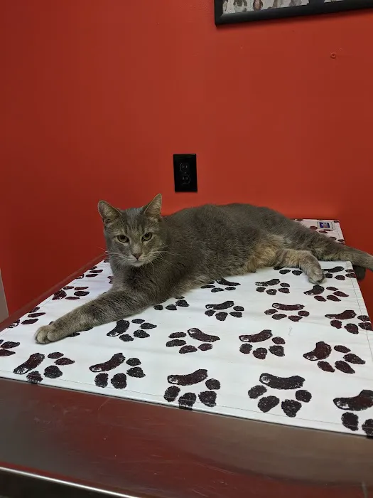 Chittenden Veterinary Clinic 2