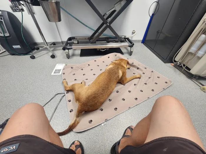 Chittenden Veterinary Clinic 7
