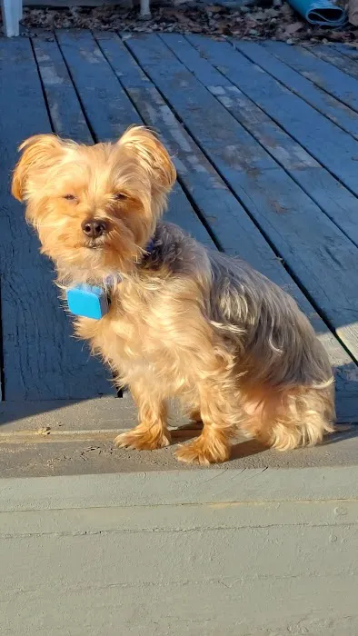 Banfield Pet Hospital 12