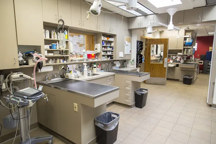 Como Park Animal Hospital and AfterHours Veterinary Care 8