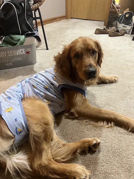 Animal Humane Society Veterinary Center 12