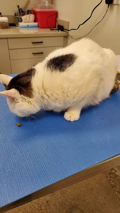 Animal Humane Society Veterinary Center 12