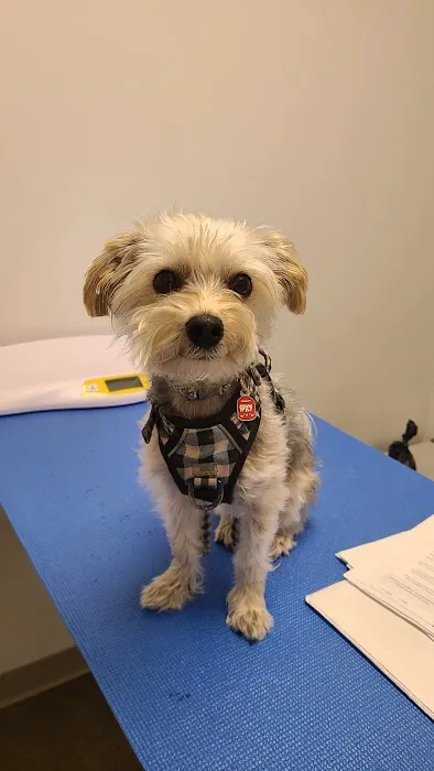 Animal Humane Society Veterinary Center 12
