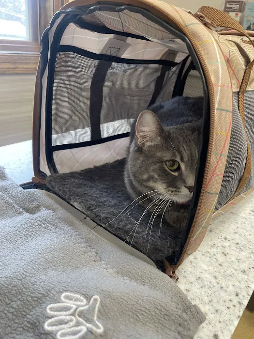 Grand Avenue Veterinary Center 10