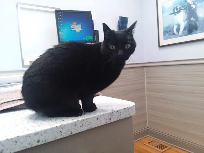Grand Avenue Veterinary Center 5