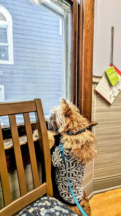 Grand Avenue Veterinary Center 3