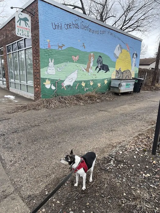 Nokomis Pet Clinic 6