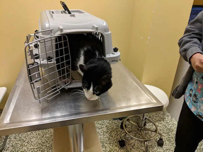 Nokomis Pet Clinic 3