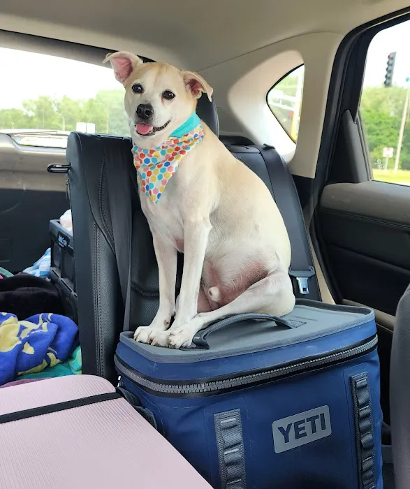 Nokomis Pet Clinic 7