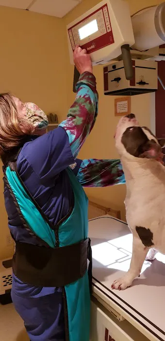 Nokomis Pet Clinic 1