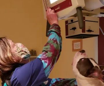 Nokomis Pet Clinic