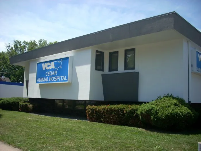 VCA Cedar Animal Hospital 4