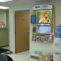VCA Cedar Animal Hospital ico