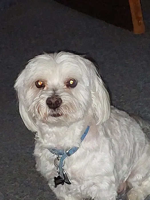 Banfield Pet Hospital 8