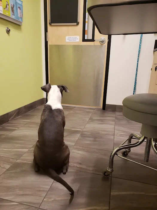 Banfield Pet Hospital 6