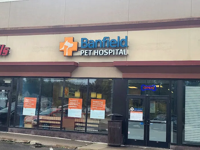 Banfield Pet Hospital 2