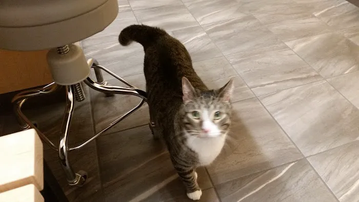 Banfield Pet Hospital 4