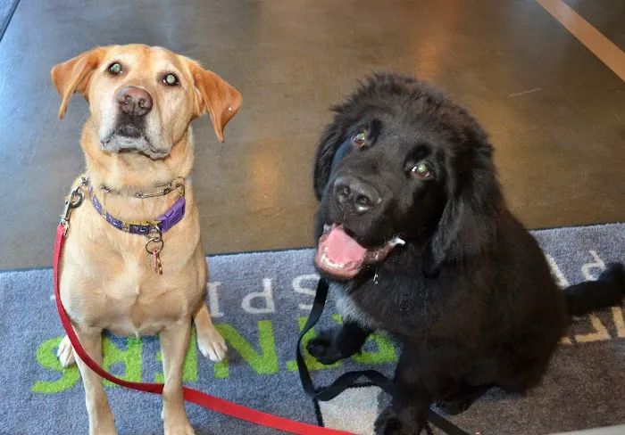 Vet Partners Minneapolis 10