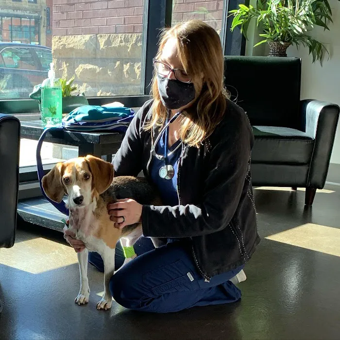Vet Partners Minneapolis 8