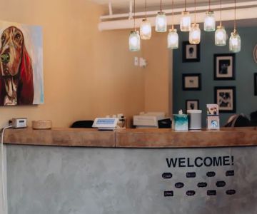 St. Paul Pet Hospital