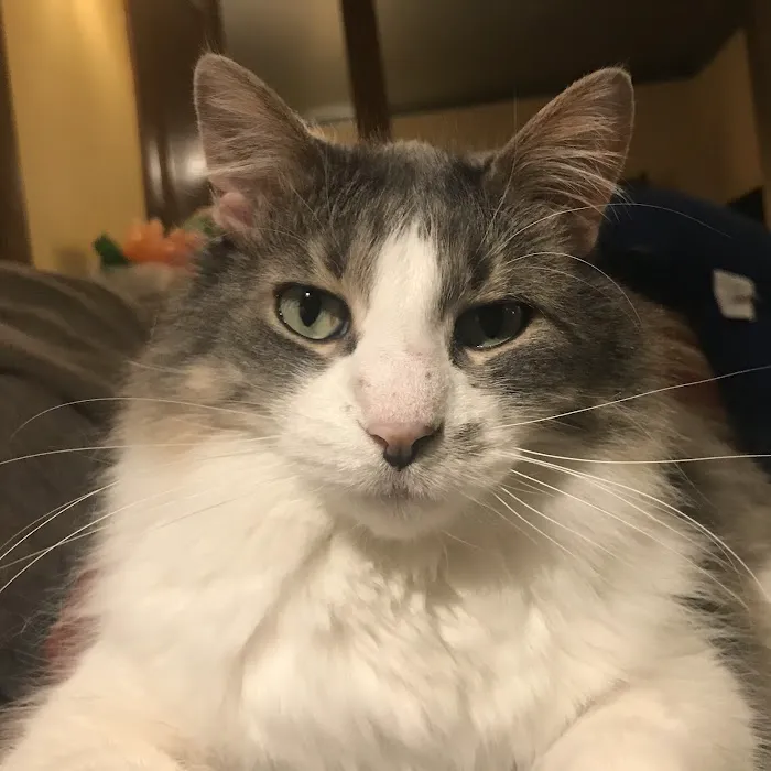 Animal Emergency & Referral Center of Minnesota 12