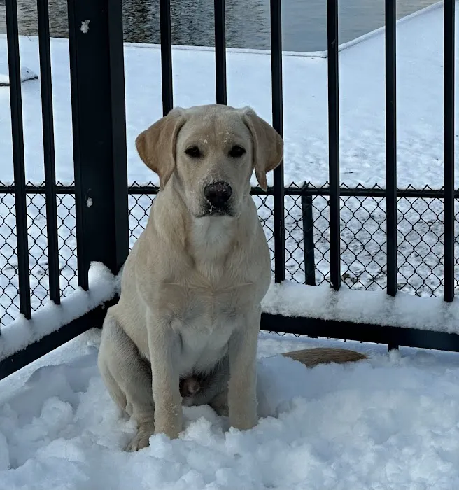 Animal Emergency & Referral Center of Minnesota 12