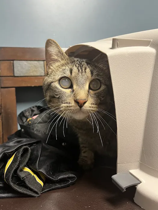 Animal Emergency & Referral Center of Minnesota 12