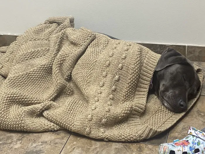 Animal Emergency & Referral Center of Minnesota 12