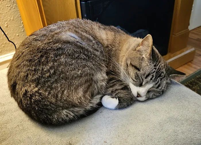 Animal Emergency & Referral Center of Minnesota 12