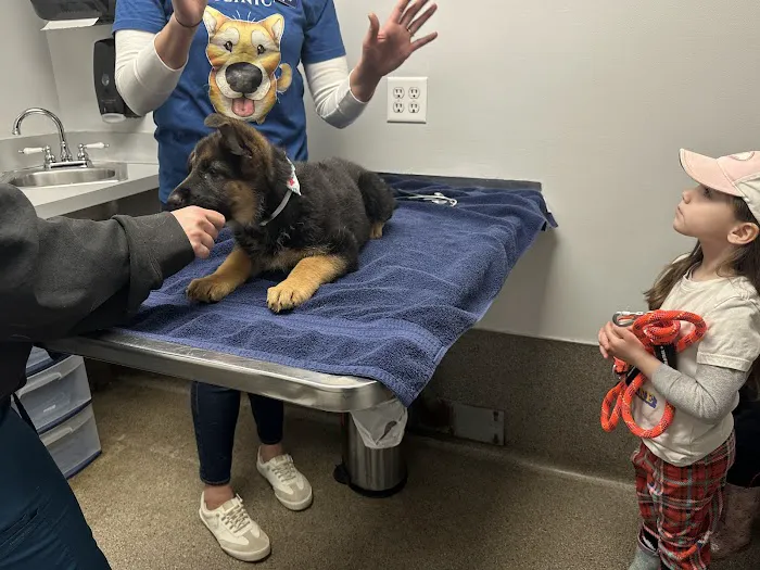 Anthony Animal Clinic 12
