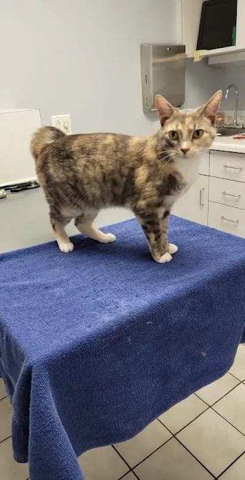 Aboite Animal Hospital at Illinois Road 9