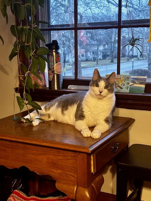 Waynedale Animal Clinic 3