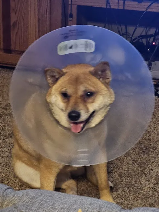 Southwest Veterinary Urgent Care 1