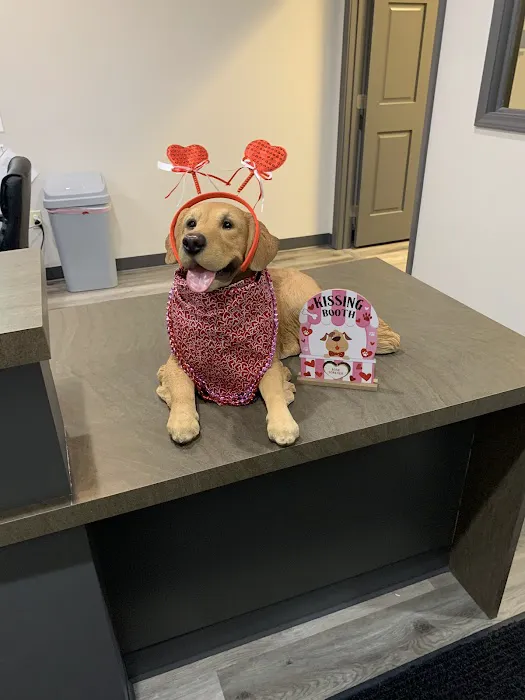 Southwest Veterinary Urgent Care 2