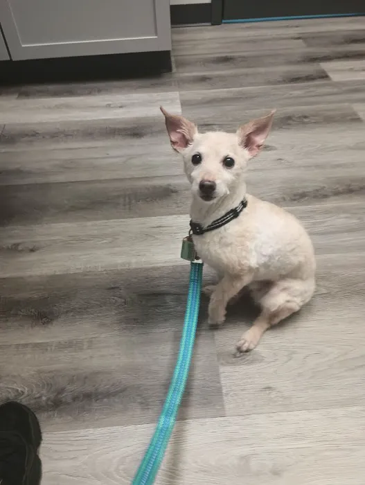 Southwest Veterinary Urgent Care 6