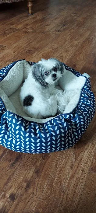 Allen Veterinary Hospital 3