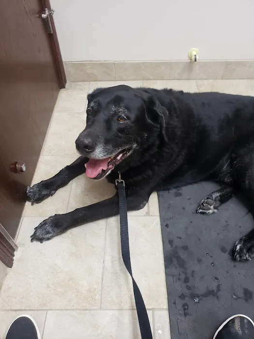 Maumee Valley Veterinary Clinic 7