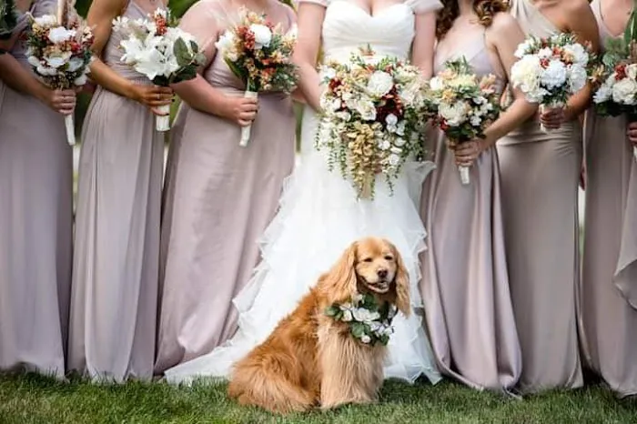 Woodburn Veterinary Clinic 7