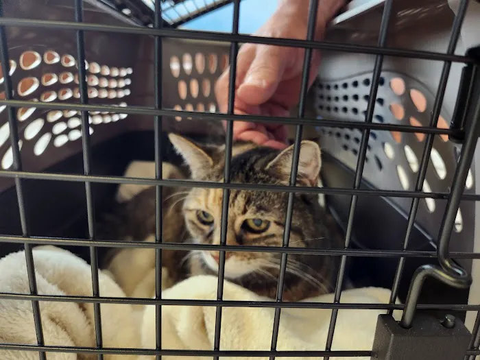 Indian Creek Veterinary Hospital 5