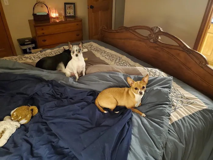 Indian Creek Veterinary Hospital 8
